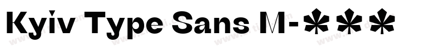 Kyiv Type Sans M字体转换